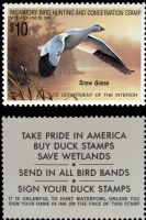 Scott RW55<br />$10.00 Snow Goose - Issued 1988<br />Pane Single<br /><span class=quot;smallerquot;>(reference or stock image)</span>