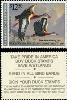 Scott RW57<br />$12.50 Black Bellied Whistling Duck - Issued 1990<br />Pane Single<br /><span class=quot;smallerquot;>(reference or stock image)</span>