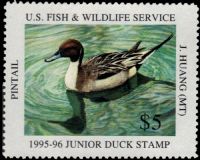 Scott JDS3<br />$5.00 Pintail (1995-1996)<br />Pane Single<br /><span class=quot;smallerquot;>(reference or stock image)</span>