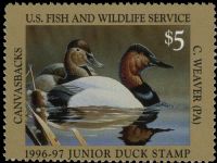 Scott JDS4<br />$5.00 Canvasbacks (1996-1997)<br />Pane Single<br /><span class=quot;smallerquot;>(reference or stock image)</span>