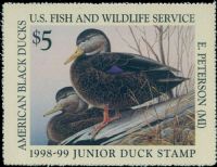 Scott JDS6<br />$5.00 Black Ducks (1998-1999)<br />Pane Single<br /><span class=quot;smallerquot;>(reference or stock image)</span>