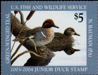 Scott JDS11<br />$5.00 Green-winged Teal (2003-2004)<br />Pane Single<br /><span class=quot;smallerquot;>(reference or stock image)</span>
