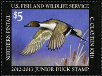 Scott JDS20<br />$5.00 Northern Pintail (2012-2013)<br />Pane Single<br /><span class=quot;smallerquot;>(reference or stock image)</span>