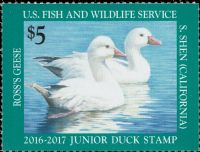 Scott JDS24<br />$5.00 Ross' Geese (2016-2017)<br />Pane Single<br /><span class=quot;smallerquot;>(reference or stock image)</span>