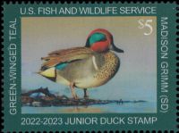 Scott JDS30<br />$5.00 Green-winged Teal (2022-2023)<br />Pane Single<br /><span class=quot;smallerquot;>(reference or stock image)</span>