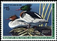 Scott RW61<br />$15.00 Red-breasted Mergansers - Issued 1994<br />Pane Single<br /><span class=quot;smallerquot;>(reference or stock image)</span>