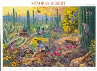 Scott 3293<br />33c Sonoran Desert<br />Pane of 10 #3293a-3293j (10 designs)<br /><span class=quot;smallerquot;>(reference or stock image)</span>