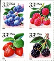 Scott 3294-3297; 3297c<br />33c Berries - 1999 Date (CB)<br />Convertible Booklet Block of 4 #3294-3297 (4 designs)<br /><span class=quot;smallerquot;>(reference or stock image)</span>