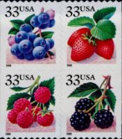 Scott 3298-3301<br />33c Berries - 1999 Date<br />Booklet Pane of 4 #3301a (4 designs)<br /><span class=quot;smallerquot;>(reference or stock image)</span>