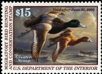 Scott RW66<br />$15.00 Greater Scaup - Issued 1999<br />Pane Single<br /><span class=quot;smallerquot;>(reference or stock image)</span>