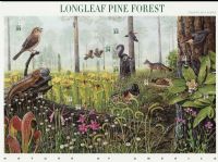Scott 3611<br />34c Longleaf Pine Forest<br />Pane of 10 #3611a-3611j (10 designs)<br /><span class=quot;smallerquot;>(reference or stock image)</span>