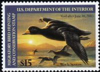 Scott RW69<br />$15.00 Black Scoters - Issued 2002<br />Pane Single<br /><span class=quot;smallerquot;>(reference or stock image)</span>