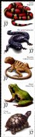 Scott 3814-3818<br />37c Reptiles and Amphibians<br />Pane Vertical Strip of 5 #3818a (5 designs)<br /><span class=quot;smallerquot;>(reference or stock image)</span>