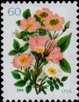 Scott 3837<br />60c Wedding: Flowers<br />Pane Single<br /><span class=quot;smallerquot;>(reference or stock image)</span>