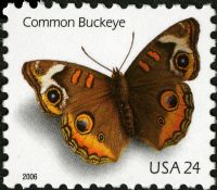 Scott 4000<br />24c Common Buckeye<br />Pane Single Perf 11¼ x 11¼<br /><span class=quot;smallerquot;>(reference or stock image)</span>