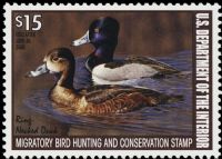 Scott RW74<br />$15.00 Ring-necked Ducks - Issued 2007<br />Pane Single<br /><span class=quot;smallerquot;>(reference or stock image)</span>