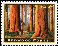 Scott 4378<br />$4.95 Priority Mail: California Redwood Forest<br />Pane Single<br /><span class=quot;smallerquot;>(reference or stock image)</span>