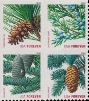 Scott 4482-4485; 4485a<br />Forever Evergreens (ATM)<br />Automated Teller Machine Block of 4 #4482-4485 (4 designs)<br /><span class=quot;smallerquot;>(reference or stock image)</span>