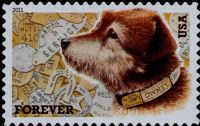 Scott 4547<br />Forever Owney the Postal Dog<br />Pane Single<br /><span class=quot;smallerquot;>(reference or stock image)</span>