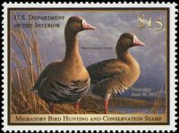 Scott RW78<br />$15.00 White-fronted Geese - Issued 2011<br />Pane Single<br /><span class=quot;smallerquot;>(reference or stock image)</span>