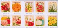 Scott 4754-4763<br />Forever Vintage Seed Packets<br />Double-Sided Booklet Block of 10 #4763a (10 designs)<br /><span class=quot;smallerquot;>(reference or stock image)</span>