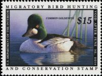 Scott RW80<br />$15.00 Common Goldeneye - Issued 2013<br />Pane Single<br /><span class=quot;smallerquot;>(reference or stock image)</span>