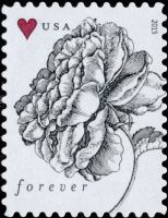 Scott 4959<br />Forever Wedding: Vintage Rose<br />Pane Single<br /><span class=quot;smallerquot;>(reference or stock image)</span>