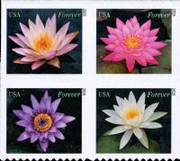 Scott 4964-4967; 4967a<br />Forever Water Lilies (DSB)<br />Double-Sided Booklet Block of 4 #4964-4967 (4 designs)<br /><span class=quot;smallerquot;>(reference or stock image)</span>