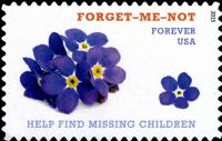 Scott 4987<br />Forever Help Find Missing Children<br />Pane Single<br /><span class=quot;smallerquot;>(reference or stock image)</span>