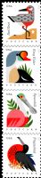 Scott 4491-4994; 4994a<br />Postcard Rate Coastal Birds<br />Pane Vertical Strip of 4 #4491-4994 (4 designs)<br /><span class=quot;smallerquot;>(reference or stock image)</span>