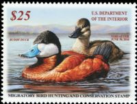 Scott RW82<br />$25.00 Ruddy Ducks - Issued 2015<br />Pane Single<br /><span class=quot;smallerquot;>(reference or stock image)</span>