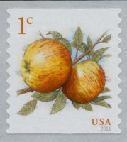 Scott 5037<br />1c Apples<br />Coil Single<br /><span class=quot;smallerquot;>(reference or stock image)</span>