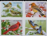 Scott 5126-5129<br />Forever Songbirds in Snow<br />Double-Sided Booklet Block of 4 #5130a (4 designs)<br /><span class=quot;smallerquot;>(reference or stock image)</span>