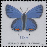 Scott 5136<br />Non-Machinable Rate Eastern Tailed-Blue Butterfly<br />Pane Single<br /><span class=quot;smallerquot;>(reference or stock image)</span>