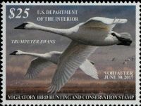 Scott RW83<br />$25.00 Trumpeter Swan - Issued 2016<br />Pane Single<br /><span class=quot;smallerquot;>(reference or stock image)</span>