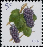 Scott 5177<br />5c Pinot Noir Grapes<br />Pane Single<br /><span class=quot;smallerquot;>(reference or stock image)</span>