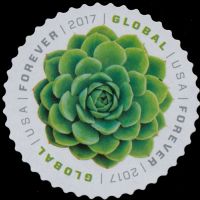 Scott 5198<br />Global Green Succulent - Echerveria<br />Pane Single<br /><span class=quot;smallerquot;>(reference or stock image)</span>
