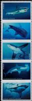 Scott 5223-5227<br />Forever Sharks<br />Pane Vertical Strip of 5 #5227a (5 designs)<br /><span class=quot;smallerquot;>(reference or stock image)</span>