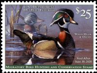 Scott RW86<br />$25.00 Wood Duck and Decoy - Issued 2019<br />Pane Single<br /><span class=quot;smallerquot;>(reference or stock image)</span>