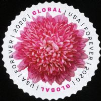 Scott 5460<br />Global Chrysanthemum<br />Pane Single<br /><span class=quot;smallerquot;>(reference or stock image)</span>