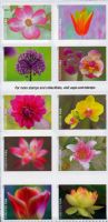 Scott 5558-5567;<br />Forever Garden Beauty (DSB)<br />Double-Sided Booklet Block of 10 #5558-5567a (10 designs)<br /><span class=quot;smallerquot;>(reference or stock image)</span>