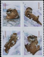 Scott 5648-5651; 5651a<br />Forever Otters In Snow (DSB)<br />Double-Sided Block of 4 #5648-5651 (4 designs)<br /><span class=quot;smallerquot;>(reference or stock image)</span>