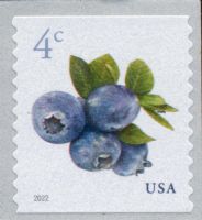 Scott 5653<br />4c Blueberries (Coil)<br />Coil Single<br /><span class=quot;smallerquot;>(reference or stock image)</span>