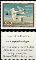 Scott RW90<br />$25.00 Tundra Swans - Issued 2023<br />Pane Single<br /><span class=quot;smallerquot;>(reference or stock image)</span>