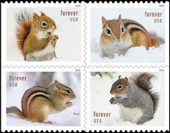 Squirrels & Chipmunks in Winter