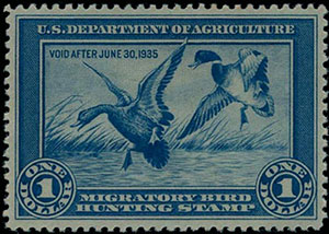 Hunting Permit (Duck Stamps) Back-of-Book Stamps